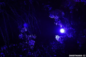 Osvětlení zahrady realizované skrze venkovní světla Govee Flood Lights 2 & Govee Outdoor Spotlight 2