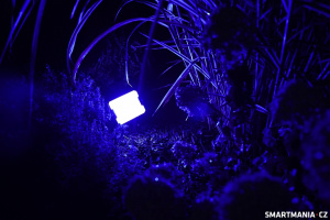 Osvětlení zahrady realizované skrze venkovní světla Govee Flood Lights 2 & Govee Outdoor Spotlight 2
