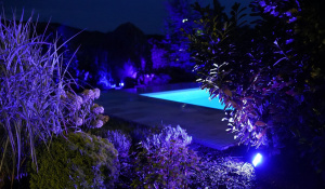 Zahrada, jakou vám bude soused závidět! Vyzkoušeli jsme venkovní světla Govee Flood Lights 2 & Govee Outdoor Spotlight 2