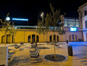 Pxl 20250901 222235130