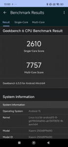 GeekBench 6 nezklamal
