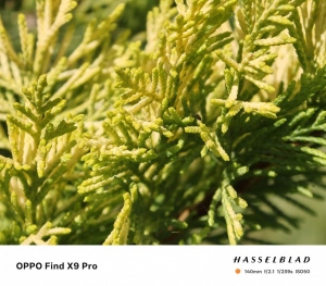 Teleobjektiv (6× hybridní)