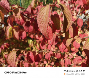 Hlavní fotoaparát (1×)