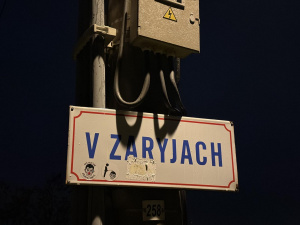 Img 0193