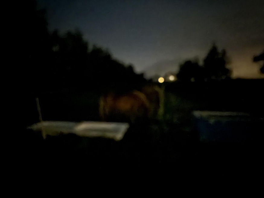 Img 0198