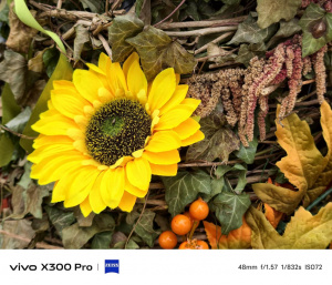 Hlavní fotoaparát (2×)