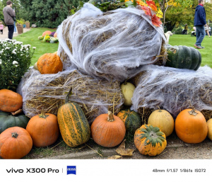 Hlavní fotoaparát (2×)
