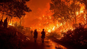 Oheň v Kalifornii, Palisades Fire