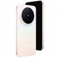 Vivo X300