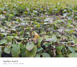 Img20251012093036 Img20251012093036