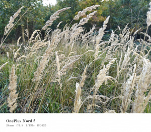 Img20251012165410 Img20251012165410