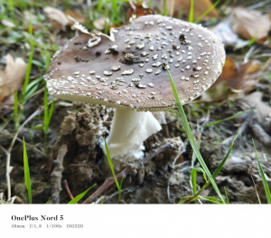 Img20251012171331 Img20251012171331