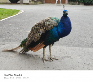 Img20251014151843 Img20251014151843