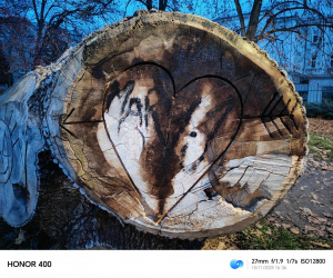 Img 20251115 163657 Img 20251115 163657