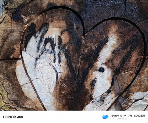 Img 20251115 163704 Img 20251115 163704