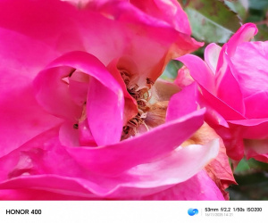 Img 20251116 142147 Img 20251116 142147