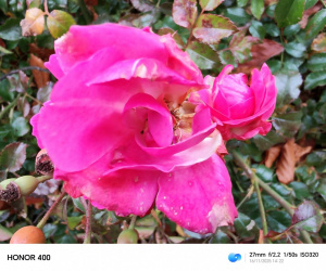 Img 20251116 142211 Img 20251116 142211