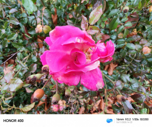 Img 20251116 142214 Img 20251116 142214