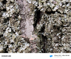 Img 20251116 142823 Img 20251116 142823