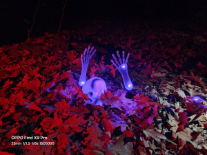 Oppo Find X9 Pro Fotky 03