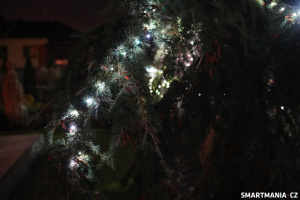 Govee String Lights 2S na venkovním stromě Govee String Lights 2S na venkovním stromě