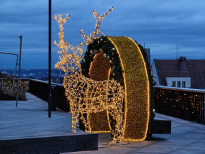 Img 20251208 160226 Img 20251208 160226