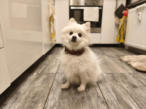 Img 20251208 165334 Img 20251208 165334