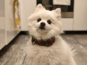 Img 20251208 165336 Img 20251208 165336