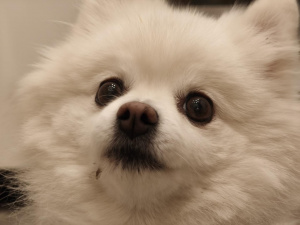 Img 20251208 165340 Img 20251208 165340