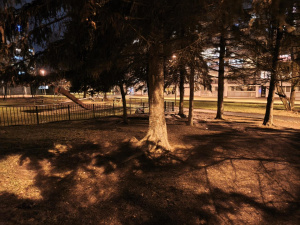 Img 20251208 172225 Img 20251208 172225