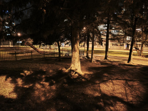 Img 20251208 172230 Img 20251208 172230