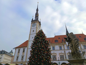 Img 20251211 135313 Img 20251211 135313