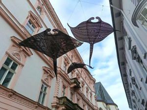 Img 20251211 135430 Img 20251211 135430