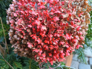 Img 20251211 135447 Img 20251211 135447