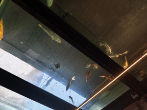 Img 20251215 134900 Img 20251215 134900