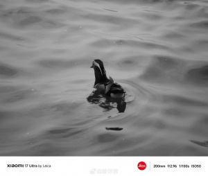 Fotografie se stylem Leica M3 Fotografie se stylem Leica M3