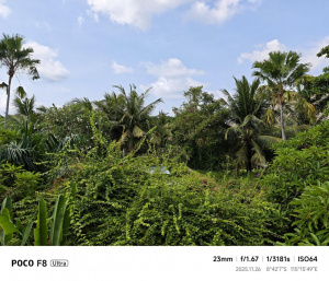Poco F8 Ultra Fotky 06 Poco F8 Ultra Fotky 06