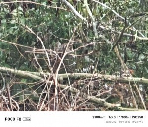 Poco F8 Ultra Fotky 42 Poco F8 Ultra Fotky 42