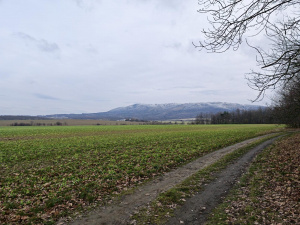 Img 20251216 143702 Img 20251216 143702