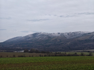 Img 20251216 143707 Img 20251216 143707