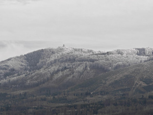 Img 20251216 143709 Img 20251216 143709