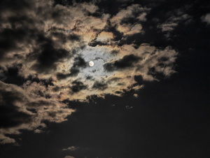 Img 20260103 175145 Img 20260103 175145