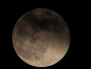 Img 20260103 175204 Img 20260103 175204