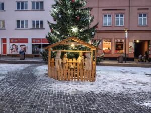 Img 20260104 162737 Img 20260104 162737