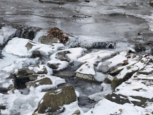 Img 20260105 152957 Img 20260105 152957