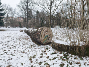 Img 20260105 153244 Img 20260105 153244