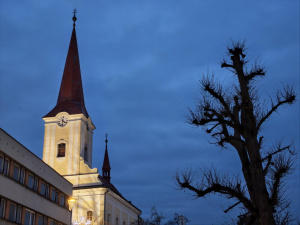 Img 20260105 163134 Img 20260105 163134