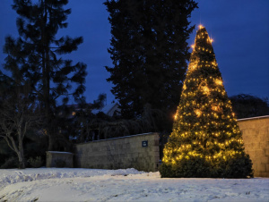 Img 20260105 164235 Img 20260105 164235