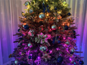 Hlavní fotoaparát (1×) Hlavní fotoaparát (1×)