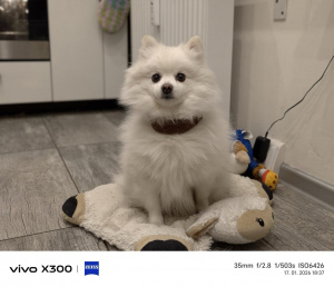 Img 20260117 183700 Img 20260117 183700